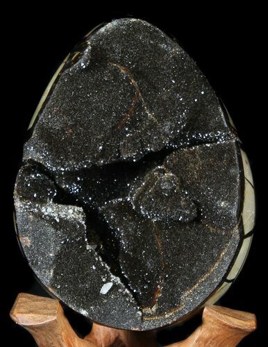 Septarian Dragon Egg Geode - Black Crystals #36713